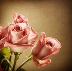 Isaac’s Journal: Finding Love on the Prairie Image